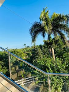 una escalera mecánica con una palmera en el fondo en Hotel PedidoSia en Higuey