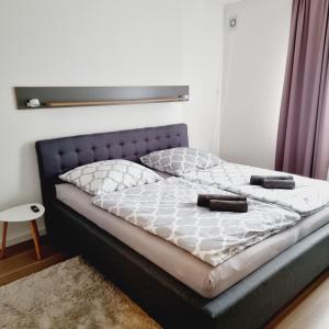 ein Bett in einem Schlafzimmer mit einem lila Vorhang in der Unterkunft Emma in Oldenburg