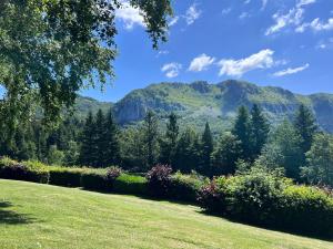 a lawn with a view of mountains in the background at Casa Gellera in Corfino