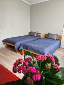 Postel nebo postele na pokoji v ubytování Muzeja apartamenti