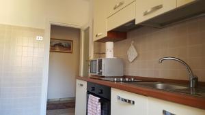 罗马Andreina a San Pietro Apartment的配有水槽和微波炉的厨房