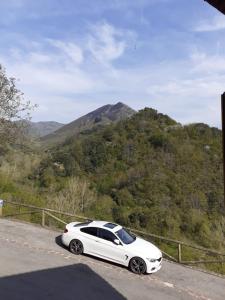 a white car parked on the side of a road at OSO4 in Pola de Somiedo