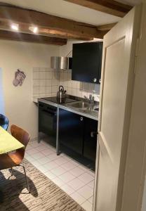 una piccola cucina con lavandino e frigorifero di Le Quartier 10 a Saint-Ursanne