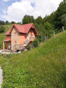 a house on the side of a grassy hill at CAMPING ZELENI GAJ (GREEN FOREST) in Plužine