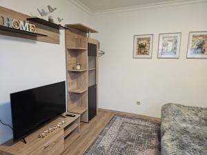 TV a/nebo společenská místnost v ubytování Spreewald Ferienwohnung Lübben