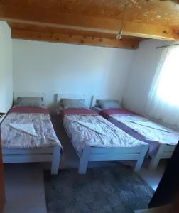 a room with three beds in a room at CAMPING ZELENI GAJ (GREEN FOREST) in Pluzine