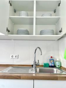 a kitchen counter with a sink and plates on shelves at Stay Westend in Wetzlar