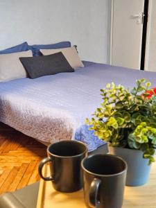 Postel nebo postele na pokoji v ubytování Muzeja apartamenti