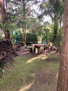 a picnic table in a park with trees and grass at Quinta de Santana - Queimadas in Furnas