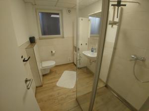 a bathroom with a shower and a toilet and a sink at Monteur- und Ferienwohnung Gemmer 63qm in Herold