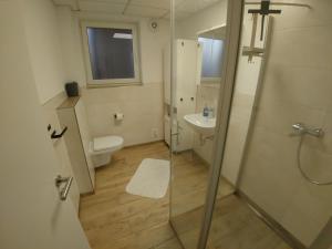 un bagno con doccia, WC e lavandino di Monteur- und Ferienwohnung Gemmer 63qm a Herold