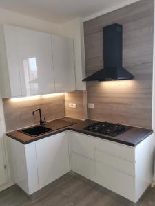 une cuisine avec un évier et une cuisinière four supérieur dans l'établissement Bologna Holiday House, à Bologne