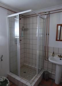 a shower with a glass door next to a sink at Birdsnest Guest Accommodation in Hout Bay