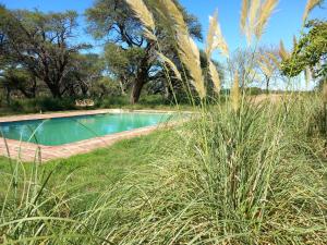 a swimming pool in a field with tall grass at Pampa Cottage 