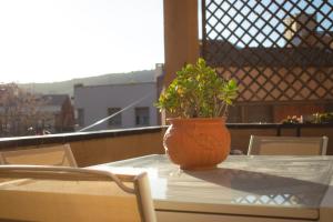 un vaso arancione seduto su un tavolo con una pianta di Espectacular Casa en La Garriga a La Garriga