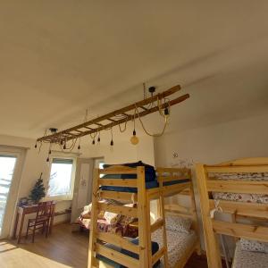 PessinettoTrekker's Home L'infinito & SPA的有两张双层床和一个天花板的房间 更多34张照片