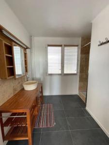 uma casa de banho com um lavatório e um chuveiro em Maison avec jardin à proximité de la plage et du canal du Midi pour 6 personnes em Portiragnes