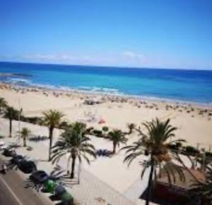 een uitzicht op een strand met palmbomen en de oceaan bij UIM Mediterraneo Cendoya 4 Wifi in Puerto de Sagunto +4 foto's
