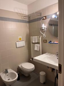 łazienka z toaletą i umywalką w obiekcie Hotel De Champoluc w mieście Champoluc