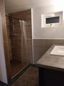 a bathroom with a shower and a sink at Einliegerwohnung in Gissigheim in Königheim +33 photos