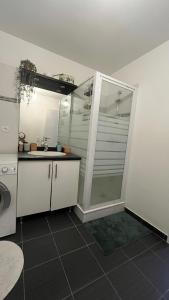 eine Küche mit einer Dusche, einem Waschbecken und einer Theke in der Unterkunft Appartement T2 cosy et calme in Bayonne