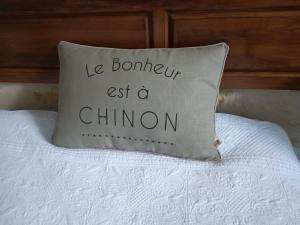 Ein Kissen, auf dem steht, dass Les Bourbon einen Chiton verlässt. in der Unterkunft Gîte la comète in Chinon