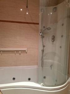 a shower in a bathroom with a tub at Centar 1 in Karlovac