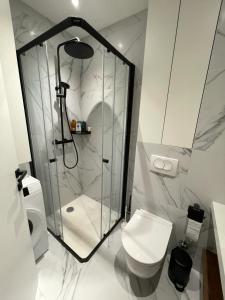 uma casa de banho com uma cabina de duche em vidro e um WC. em Uzelac apartment with pool em Makarska