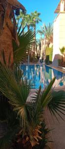 een zwembad met palmbomen en een gebouw bij Riad Sana in Marrakesh