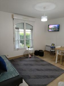 ein Wohnzimmer mit einem Sofa und einem Teppich in der Unterkunft Magic Disneyland Paris in Serris