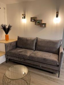 a brown couch in a living room with a glass table at Petit Paradis au cœur de Jérusalem in Jerusalem