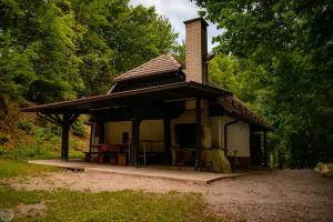 ein kleines Haus mit einem Dach mit einem Tisch davor in der Unterkunft Home Puščava in Kranj