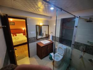 a bathroom with a shower and a toilet and a sink at Dream Ladakh Guest House in Leh