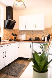 a kitchen with white cabinets and a potted plant at La Menorah in Le Creusot