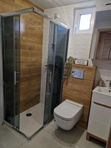 a bathroom with a shower and a toilet and a sink at REST HOUSE WDZYDZE DOMKI NAD JEZIOREM in Wdzydze Kiszewskie
