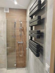 een badkamer met een douche en een glazen wand bij Apartamenty Grunwaldzka in Świnoujście
