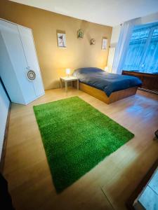 a bedroom with a bed and a green rug at Studio Luca in Sibiu
