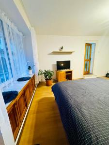 a bedroom with a bed and a television in it at Studio Luca in Sibiu