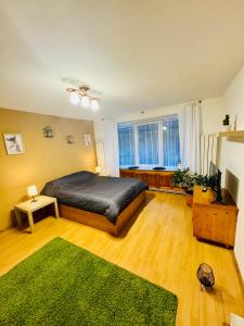 a bedroom with a bed and a green rug at Studio Luca in Sibiu