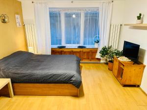 a bedroom with a bed and a flat screen tv at Studio Luca in Sibiu +7 photos