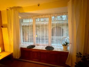 a window with a plant sitting on a window sill at Studio Luca in Sibiu