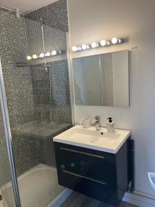 uma casa de banho com um lavatório e um chuveiro com um espelho. em Chambres d'Hôtes Kennedy, Villejean em Rennes
