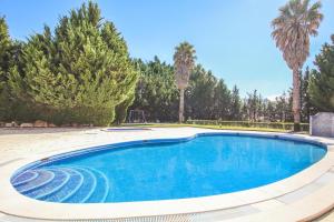 a swimming pool in a yard with palm trees at Apartment Rhodes by Algarve Vacation in Albufeira