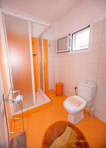 a bathroom with a toilet and a shower at Titika House in Nea Vrasna