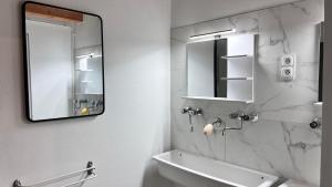 ein Bad mit einem Waschbecken und einem Spiegel in der Unterkunft Appartement au pied des Vignes in Vosne-Romanée