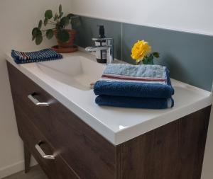 Gallery image of Le Chêne Olivet in Olivet