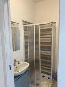 奧爾比亞的住宿－Blessed House Rooms，一间带水槽和淋浴间的浴室