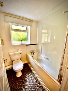 a bathroom with a toilet and a tub and a window at The Snuggle in Symonds Yat