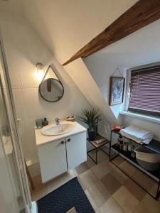 een badkamer met een wastafel en een spiegel bij Charmant Appartement proche Strasbourg à Eckwersheim in Eckwersheim