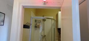 W łazience znajduje się prysznic z oświetleniem na suficie. w obiekcie Cozy studio in Hasselt w mieście Hasselt